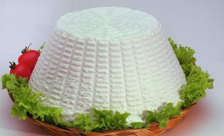 ricotta 