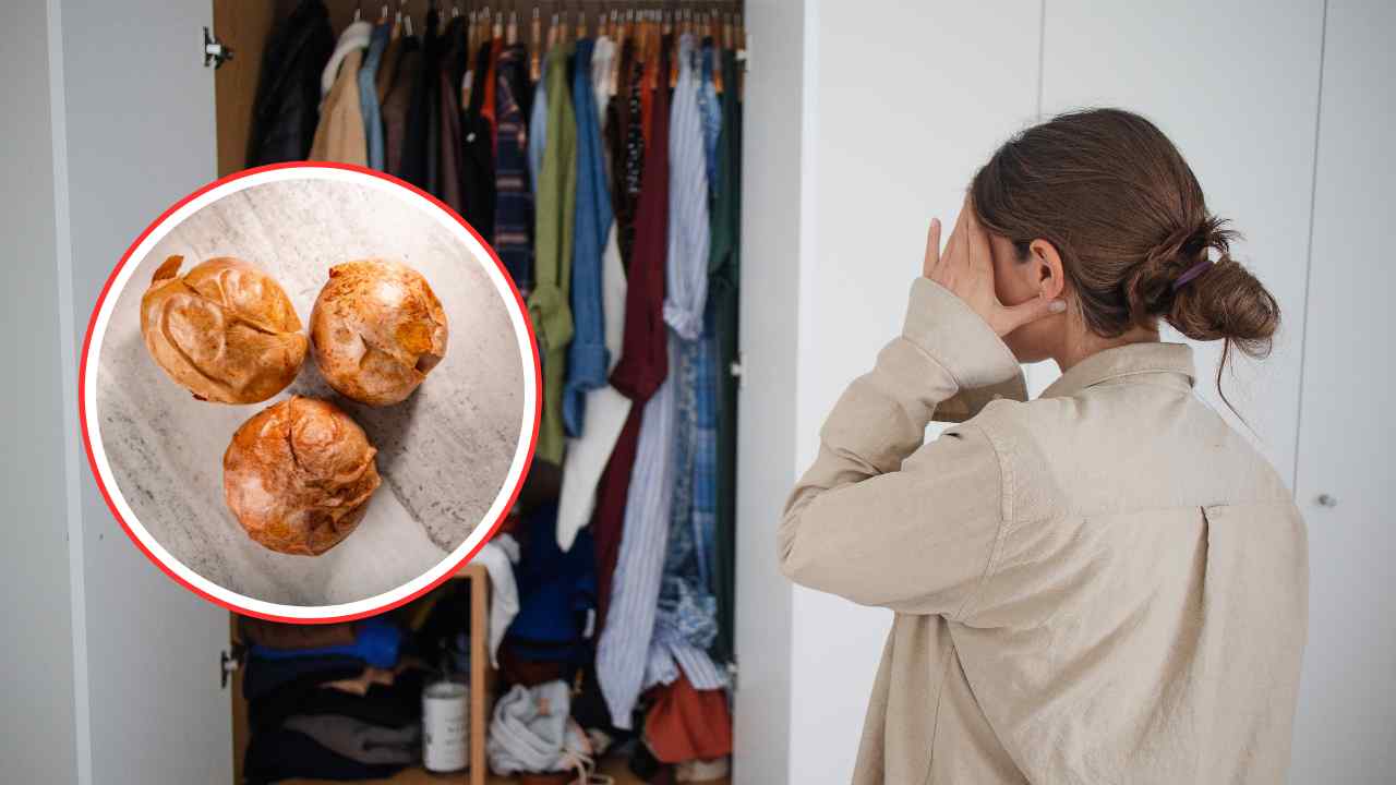Armadio metti il seme di questo frutto - Culinaria.it