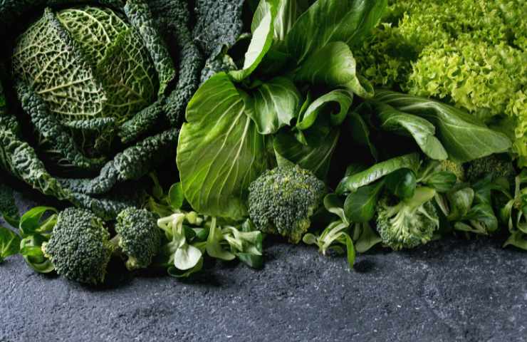 Diverse verdure a foglia verde