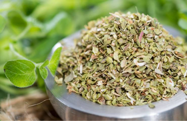 Origano essiccato in una ciotola