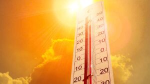 Emergenza caldo non commettere questo errore - Culinaria.it