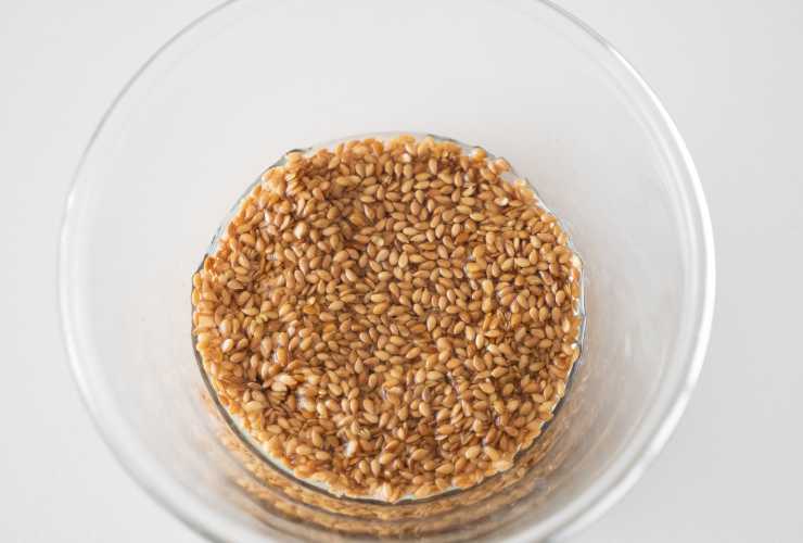 Insalata fredda con farro - Culinaria.it