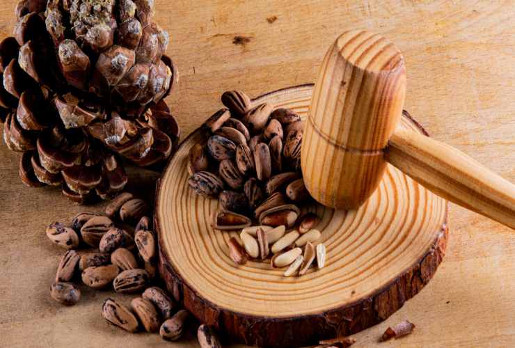 Pinoli italiani Culinaria.it