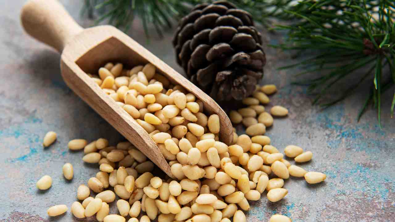 Pinoli varietà e usi in cucina Culinaria.it