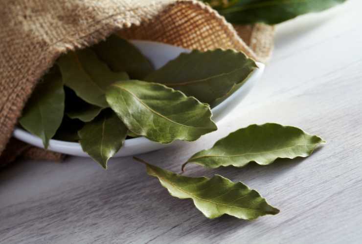 Tisana da bere un bicchiere dopo ogni pasto - Culinaria.it