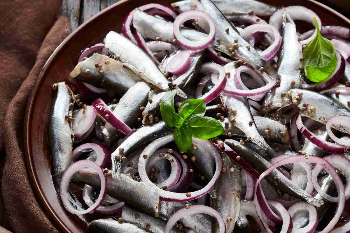 alici con cipolle