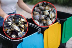 spazzatura cozze e vongole