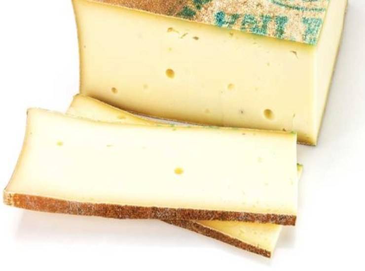 fontina