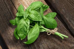 Foglie di basilico su sfondo di legno