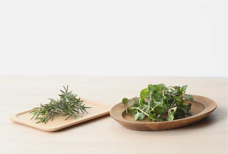 4 spezie da tenere in balcone - Culinaria.it