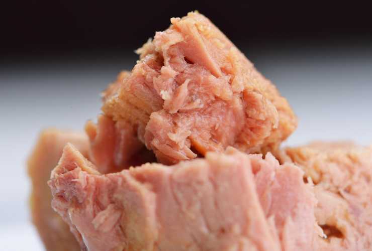 Patè di tonno per il pane - Culinaria.it